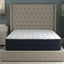 Chason Firm 14" Mattress