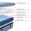 Sealy Posturepedic Pro Dupont Soft Pillowtop