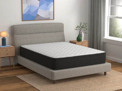 Dustin Plush 13" Mattress