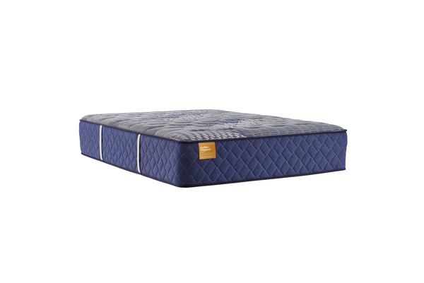 Sealy Golden Elegance Rose Gold Firm-Tempur-Sealy-Sleeping Giant
