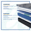 Sealy Brenham Firm Hybrid Mattress-Tempur-Sealy-Sleeping Giant