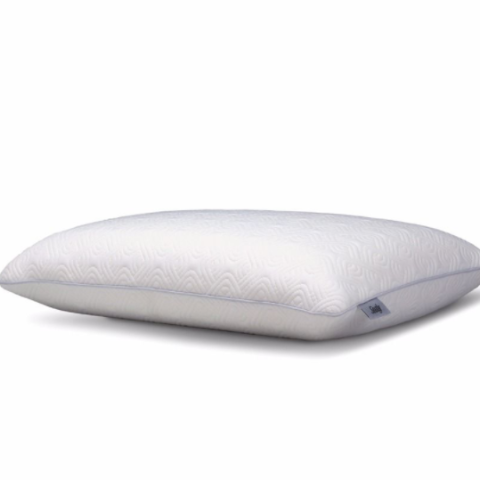 Sealy wedge pillow deals